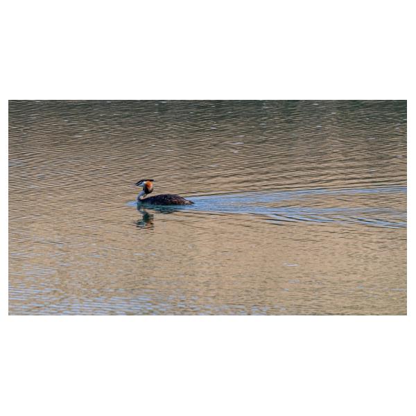 PHOTO84, CLUB, 84 , LUBERON